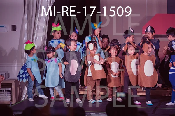 MI-RE-17-1509.jpg
