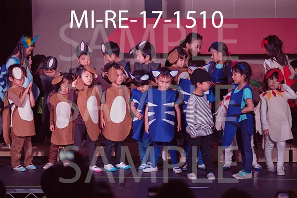 MI-RE-17-1510.jpg