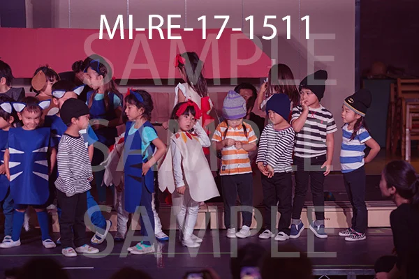 MI-RE-17-1511.jpg