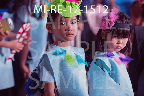MI-RE-17-1512.jpg