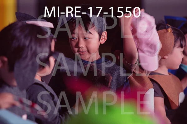 MI-RE-17-1550.jpg