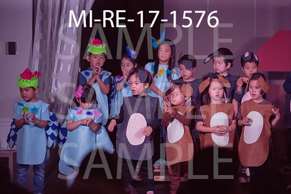 MI-RE-17-1576.jpg