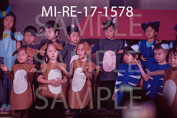 MI-RE-17-1578.jpg