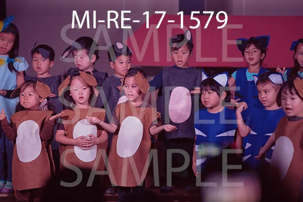 MI-RE-17-1579.jpg