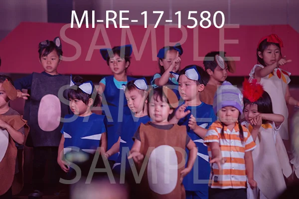 MI-RE-17-1580.jpg