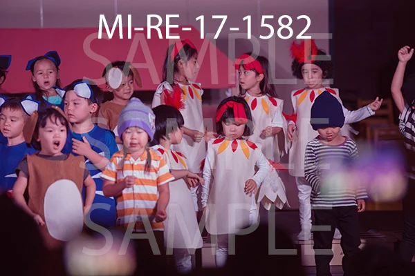 MI-RE-17-1582.jpg
