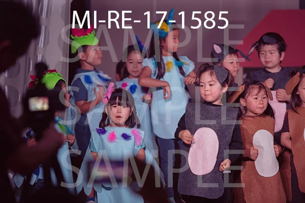 MI-RE-17-1585.jpg