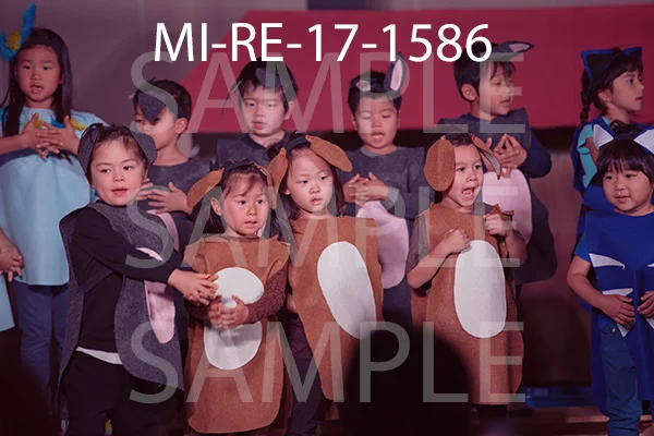 MI-RE-17-1586.jpg