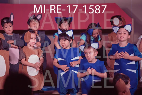 MI-RE-17-1587.jpg