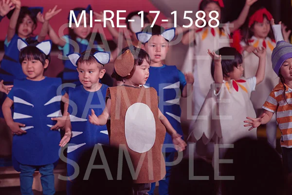 MI-RE-17-1588.jpg