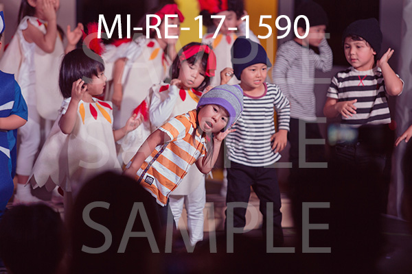 MI-RE-17-1590.jpg