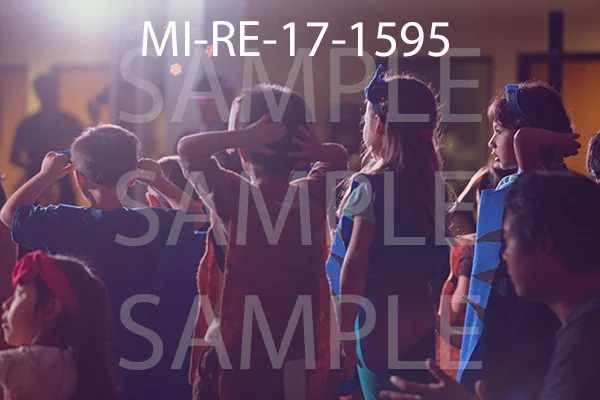 MI-RE-17-1595.jpg