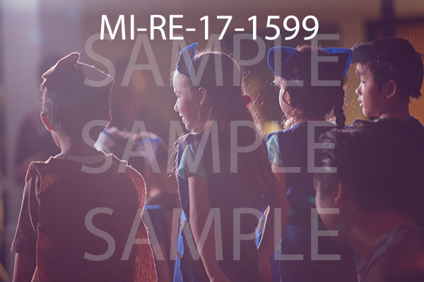 MI-RE-17-1599.jpg