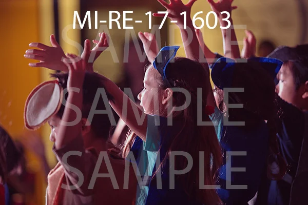 MI-RE-17-1603.jpg
