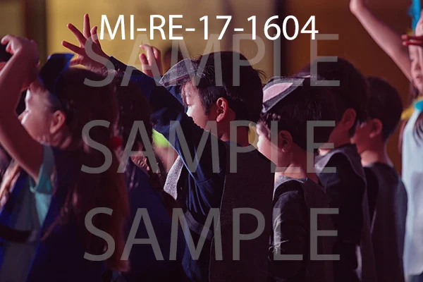 MI-RE-17-1604.jpg