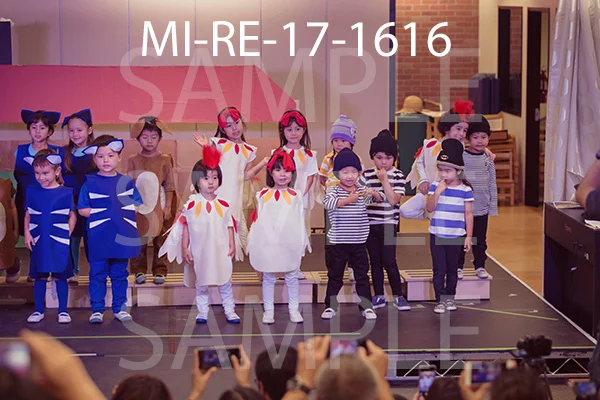 MI-RE-17-1616.jpg