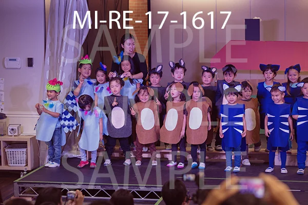 MI-RE-17-1617.jpg