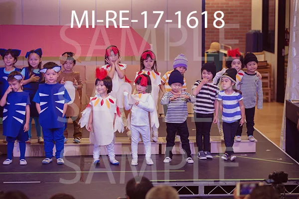MI-RE-17-1618.jpg