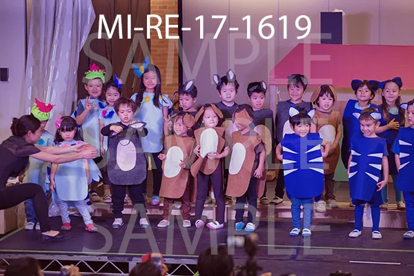 MI-RE-17-1619.jpg