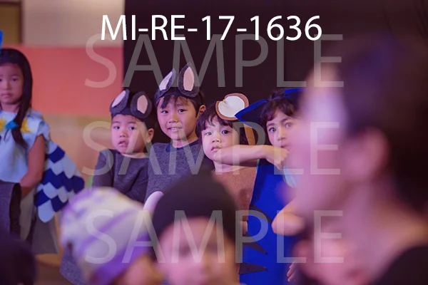 MI-RE-17-1636.jpg