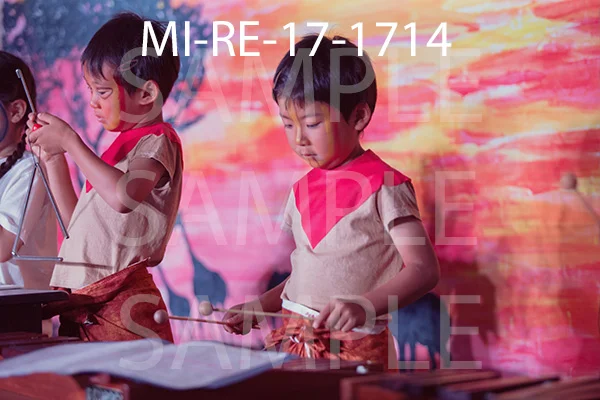 MI-RE-17-1714.jpg