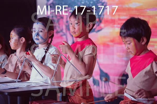 MI-RE-17-1717.jpg
