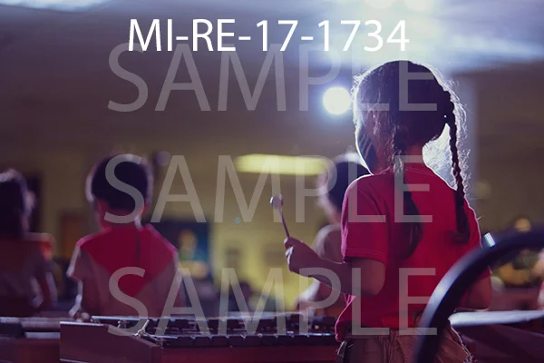MI-RE-17-1734.jpg