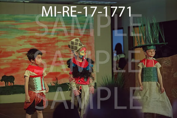 MI-RE-17-1771.jpg