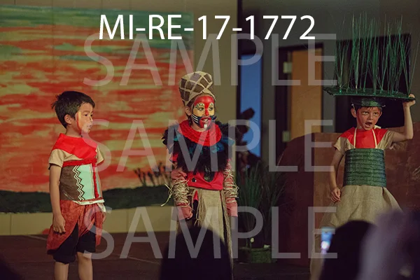 MI-RE-17-1772.jpg