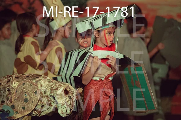 MI-RE-17-1781.jpg