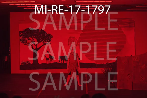 MI-RE-17-1797.jpg