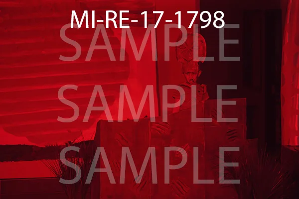 MI-RE-17-1798.jpg