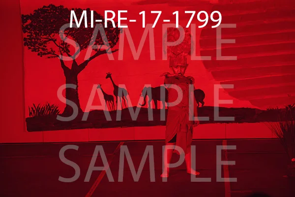MI-RE-17-1799.jpg