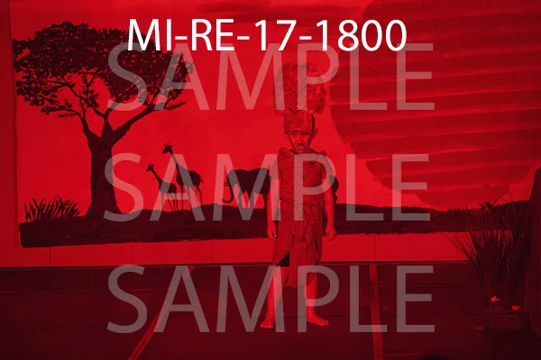 MI-RE-17-1800.jpg