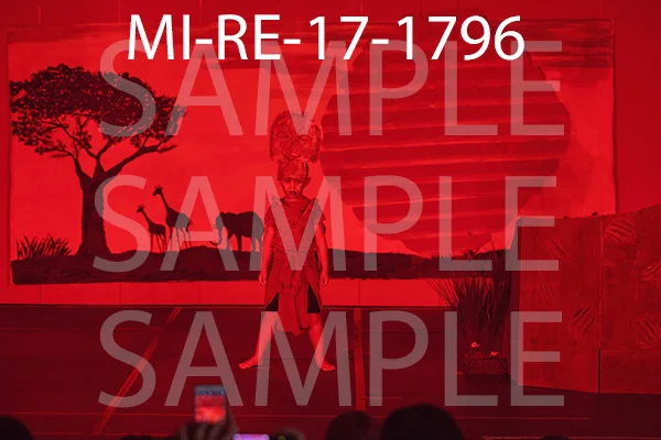 MI-RE-17-1796.jpg