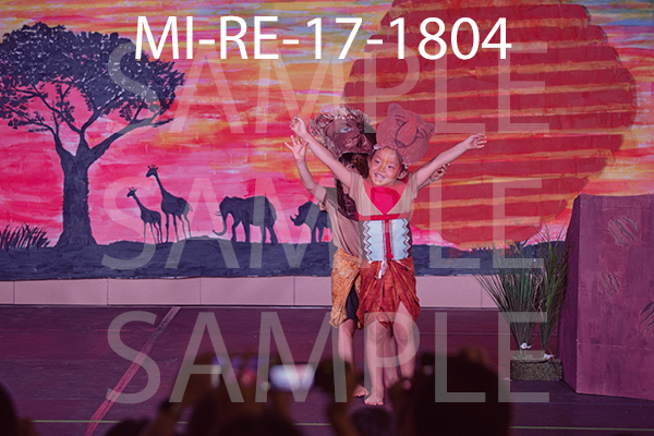 MI-RE-17-1804.jpg