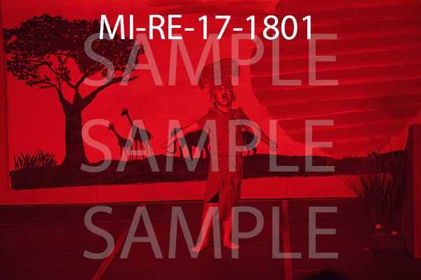 MI-RE-17-1801.jpg