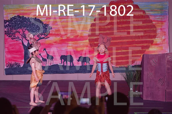 MI-RE-17-1802.jpg