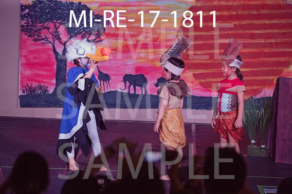 MI-RE-17-1811.jpg