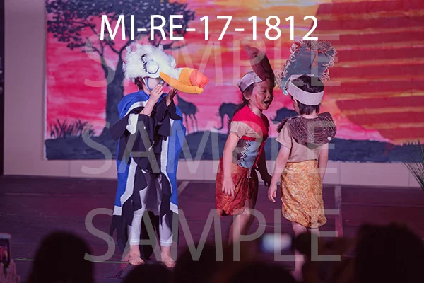 MI-RE-17-1812.jpg