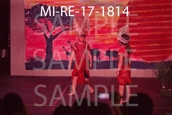 MI-RE-17-1814.jpg