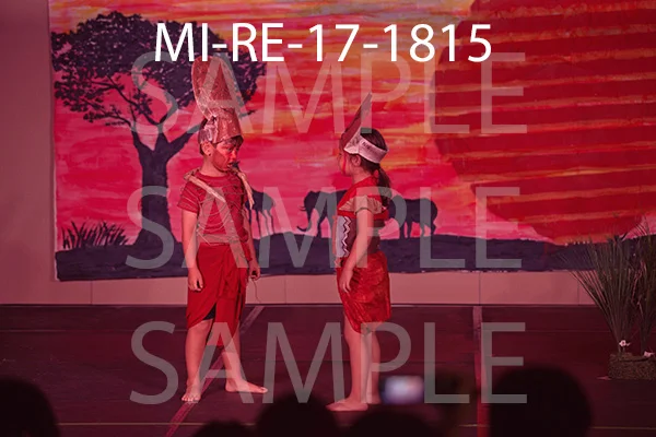 MI-RE-17-1815.jpg