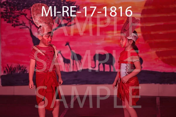 MI-RE-17-1816.jpg