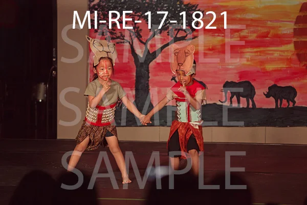 MI-RE-17-1821.jpg