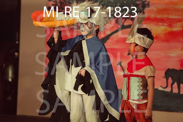 MI-RE-17-1823.jpg