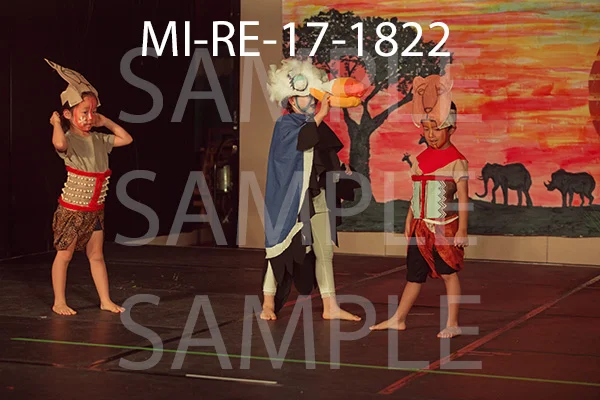 MI-RE-17-1822.jpg