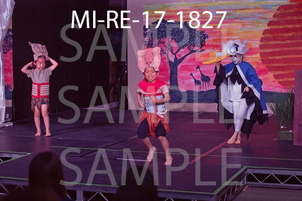 MI-RE-17-1827.jpg