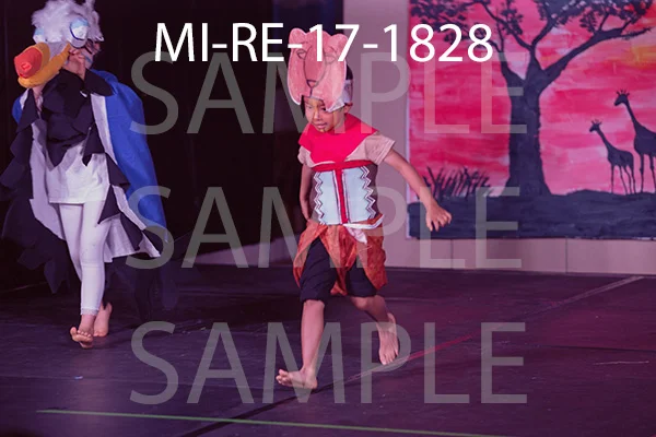MI-RE-17-1828.jpg