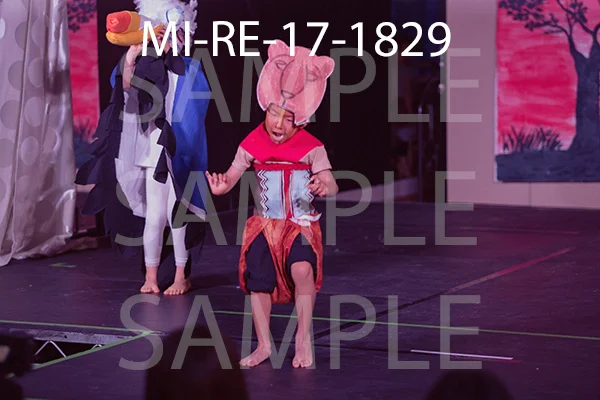 MI-RE-17-1829.jpg