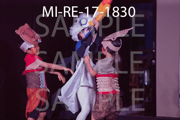 MI-RE-17-1830.jpg